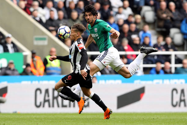 的记者在撰 的记者在撰